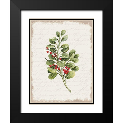 Berries Christmas Botanical Black Modern Wood Framed Art Print with Double Matting by Jacobs, Cindy