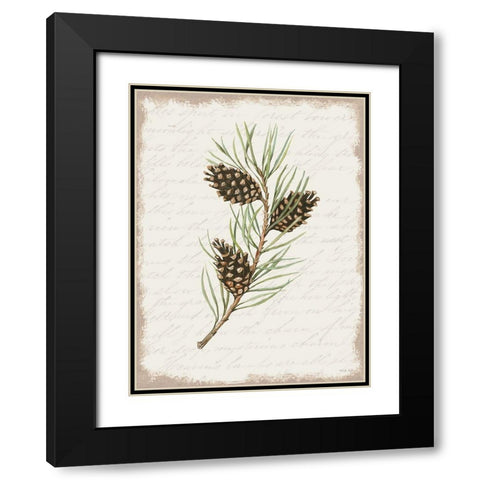 Pine Cone Botanical I Black Modern Wood Framed Art Print with Double Matting by Jacobs, Cindy