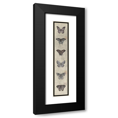 Row of Butterflies II Black Modern Wood Framed Art Print with Double Matting by Jacobs, Cindy