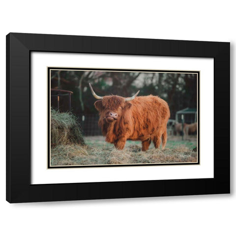 Hungry Cow I Black Modern Wood Framed Art Print with Double Matting by Diener, Dakota