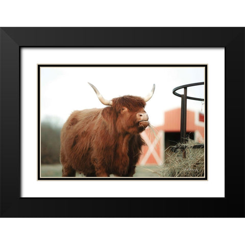 Hungry Cow II Black Modern Wood Framed Art Print with Double Matting by Diener, Dakota