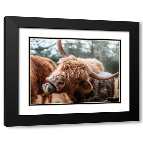Crazy Cow II Black Modern Wood Framed Art Print with Double Matting by Diener, Dakota