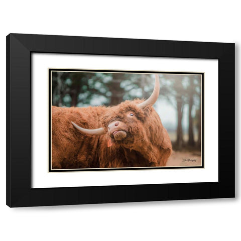 Highland Itch Black Modern Wood Framed Art Print with Double Matting by Diener, Dakota