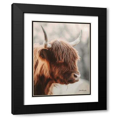 Highland Pose Black Modern Wood Framed Art Print with Double Matting by Diener, Dakota