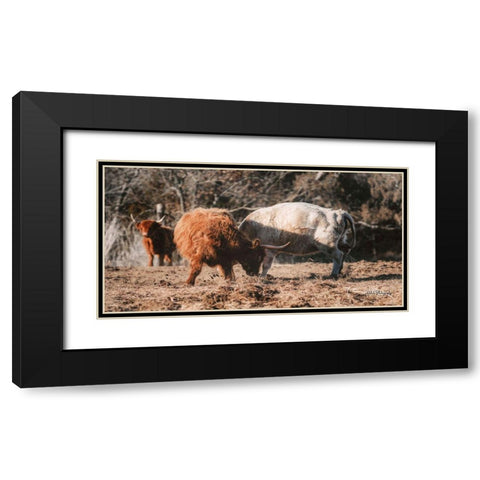Highland Fight Black Modern Wood Framed Art Print with Double Matting by Diener, Dakota