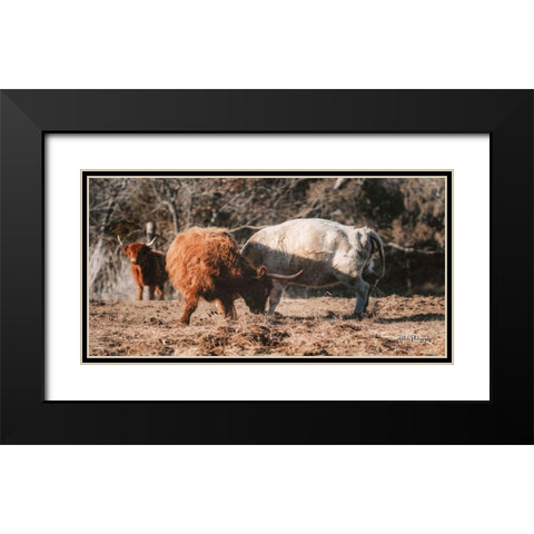 Highland Fight Black Modern Wood Framed Art Print with Double Matting by Diener, Dakota