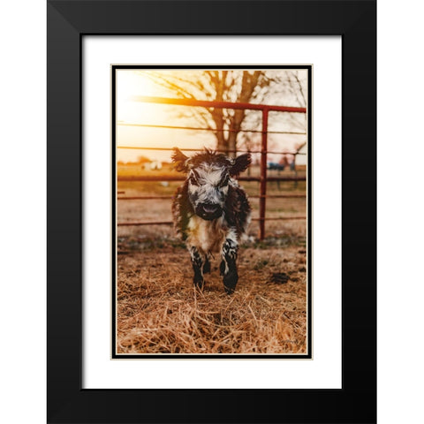 First Morning Black Modern Wood Framed Art Print with Double Matting by Diener, Dakota