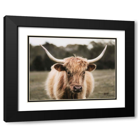 Mellow Day on the Farm I Black Modern Wood Framed Art Print with Double Matting by Diener, Dakota