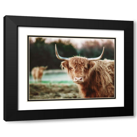 Mellow Day on the Farm II Black Modern Wood Framed Art Print with Double Matting by Diener, Dakota
