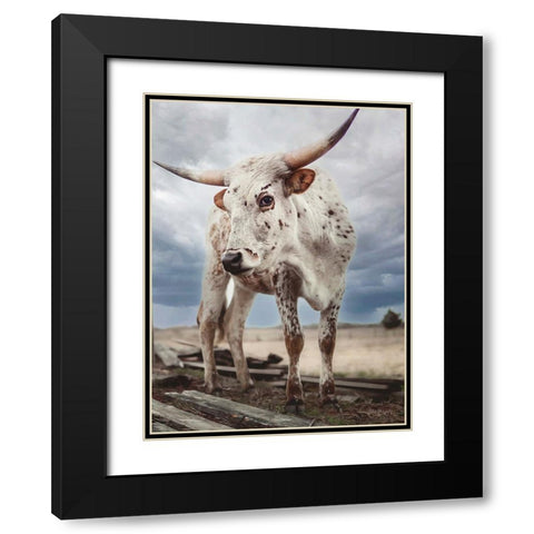 Cloudy Day Cow Black Modern Wood Framed Art Print with Double Matting by Diener, Dakota
