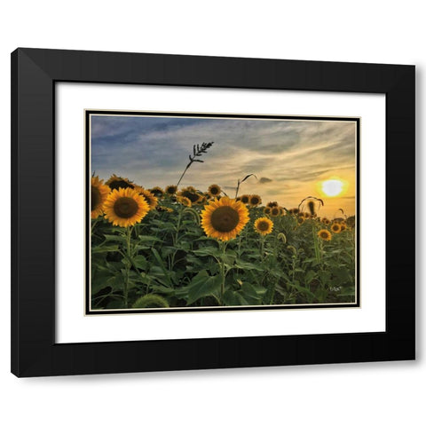 Midwest Livin I Black Modern Wood Framed Art Print with Double Matting by Quillen, Donnie