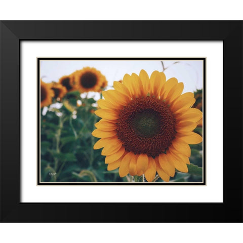 Midwest Livin II Black Modern Wood Framed Art Print with Double Matting by Quillen, Donnie