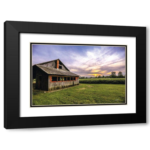 A Summer Sunset I Black Modern Wood Framed Art Print with Double Matting by Quillen, Donnie