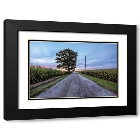 A Summer Sunset II Black Modern Wood Framed Art Print with Double Matting by Quillen, Donnie