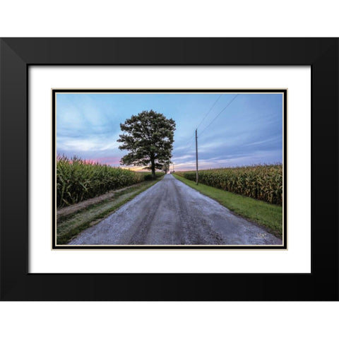 A Summer Sunset II Black Modern Wood Framed Art Print with Double Matting by Quillen, Donnie