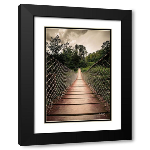 Wilderness Walkway Black Modern Wood Framed Art Print with Double Matting by Quillen, Donnie