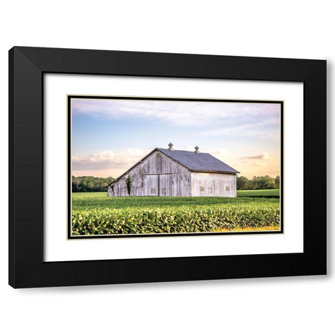 Rural Ohio Barn Black Modern Wood Framed Art Print with Double Matting by Quillen, Donnie