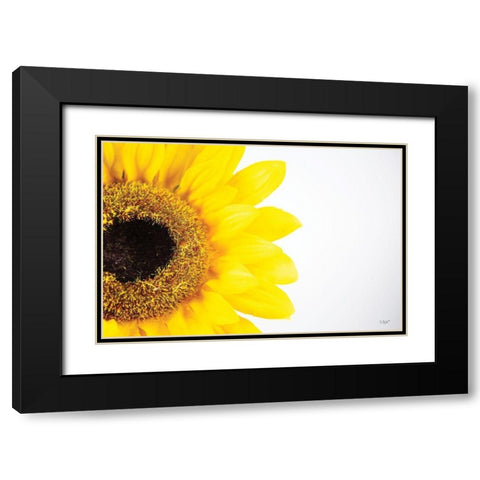 Sunflower Close-up Black Modern Wood Framed Art Print with Double Matting by Quillen, Donnie