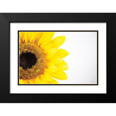 Sunflower Close-up Black Modern Wood Framed Art Print with Double Matting by Quillen, Donnie