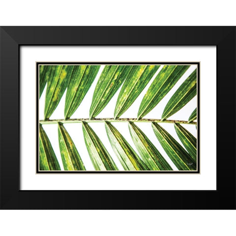 Leaf Study I Black Modern Wood Framed Art Print with Double Matting by Quillen, Donnie