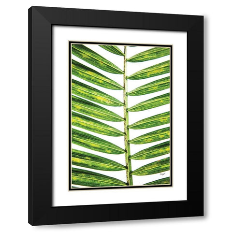 Leaf Study II Black Modern Wood Framed Art Print with Double Matting by Quillen, Donnie