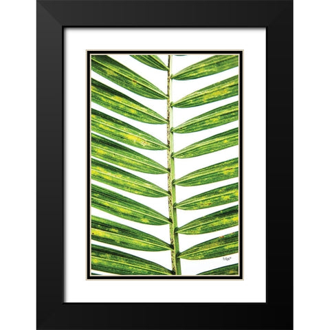 Leaf Study II Black Modern Wood Framed Art Print with Double Matting by Quillen, Donnie