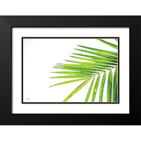 Leaf Study III Black Modern Wood Framed Art Print with Double Matting by Quillen, Donnie