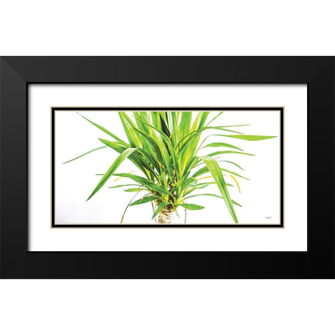 Leafy Days Black Modern Wood Framed Art Print with Double Matting by Quillen, Donnie