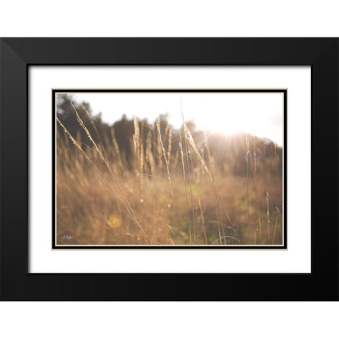 Bright Sun Haze II Black Modern Wood Framed Art Print with Double Matting by Quillen, Donnie