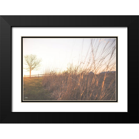 Bright Sun Haze IV Black Modern Wood Framed Art Print with Double Matting by Quillen, Donnie