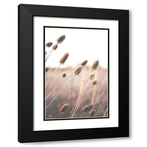 Field of Dreams II Black Modern Wood Framed Art Print with Double Matting by Quillen, Donnie