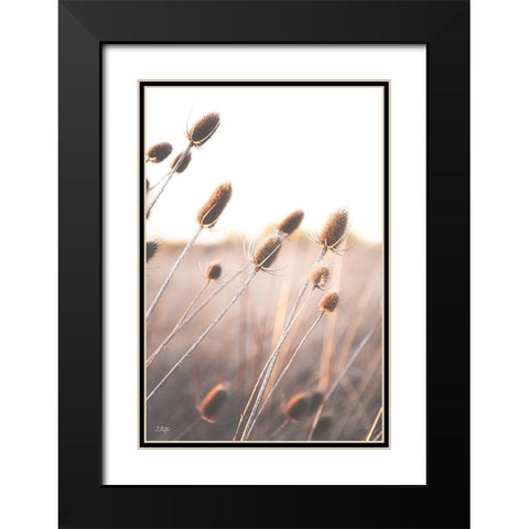 Field of Dreams II Black Modern Wood Framed Art Print with Double Matting by Quillen, Donnie