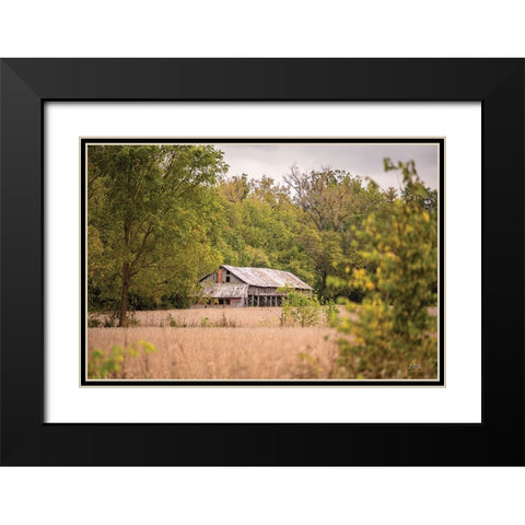 Barn in the Country II Black Modern Wood Framed Art Print with Double Matting by Quillen, Donnie