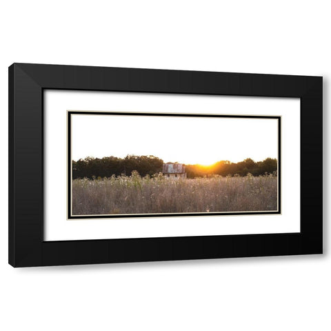 Field Find  Black Modern Wood Framed Art Print with Double Matting by Quillen, Donnie