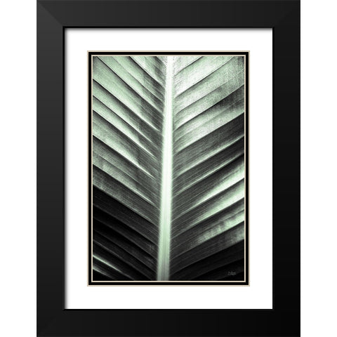 Leaf Lines Black Modern Wood Framed Art Print with Double Matting by Quillen, Donnie