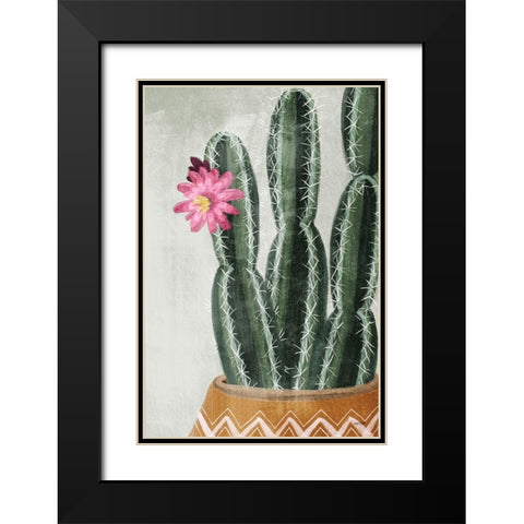 Flowering Cactus Black Modern Wood Framed Art Print with Double Matting by House Fenway