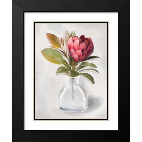Protea Posie   Black Modern Wood Framed Art Print with Double Matting by House Fenway