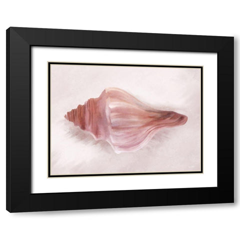 Conch Shell Blush I Black Modern Wood Framed Art Print with Double Matting by House Fenway