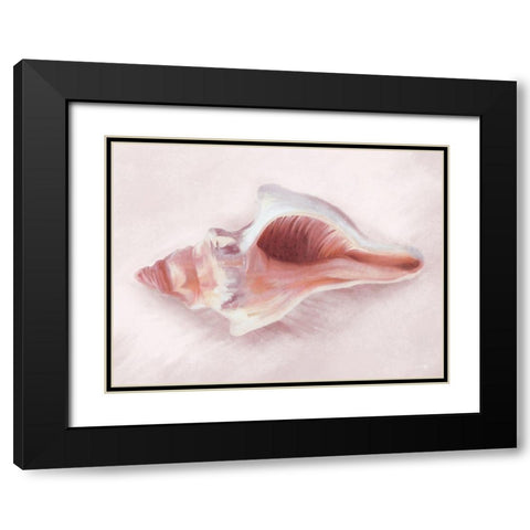 Conch Shell Blush II Black Modern Wood Framed Art Print with Double Matting by House Fenway