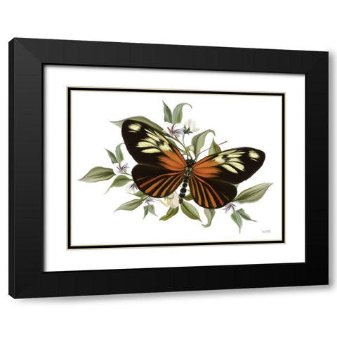 Botanical Butterfly Heliconius    Black Modern Wood Framed Art Print with Double Matting by House Fenway