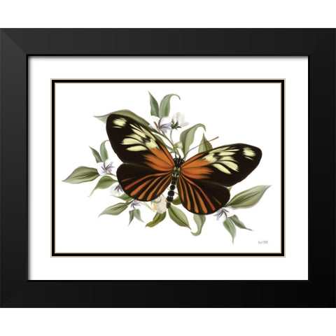 Botanical Butterfly Heliconius    Black Modern Wood Framed Art Print with Double Matting by House Fenway