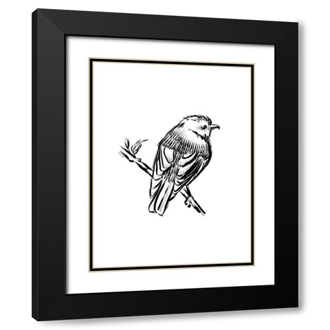 Songbird Sketch I Black Modern Wood Framed Art Print with Double Matting by House Fenway