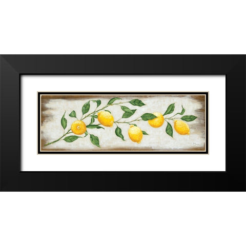Lemon Branch Black Modern Wood Framed Art Print with Double Matting by Hollihocks Art