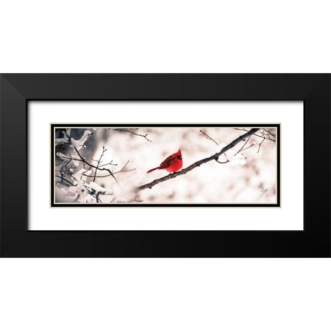 Cardinal III Black Modern Wood Framed Art Print with Double Matting by Spivey, Justin