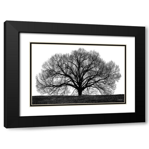 The Tree Black Modern Wood Framed Art Print with Double Matting by Jones, John