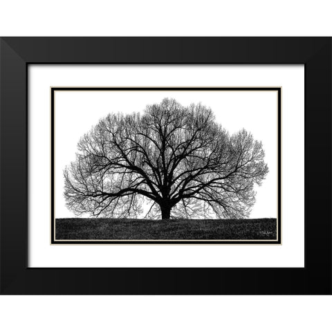 The Tree Black Modern Wood Framed Art Print with Double Matting by Jones, John
