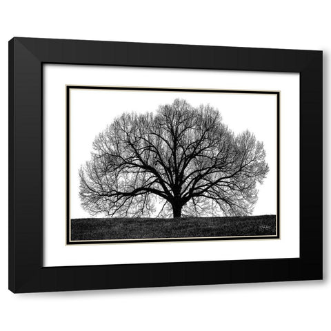 The Tree Black Modern Wood Framed Art Print with Double Matting by Jones, John