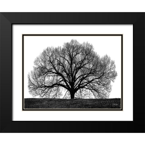 The Tree Black Modern Wood Framed Art Print with Double Matting by Jones, John