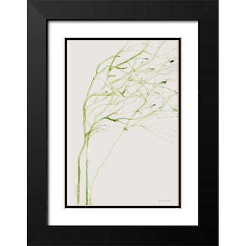 Thistle and Thatch Black Modern Wood Framed Art Print with Double Matting by Kamdon Kreations