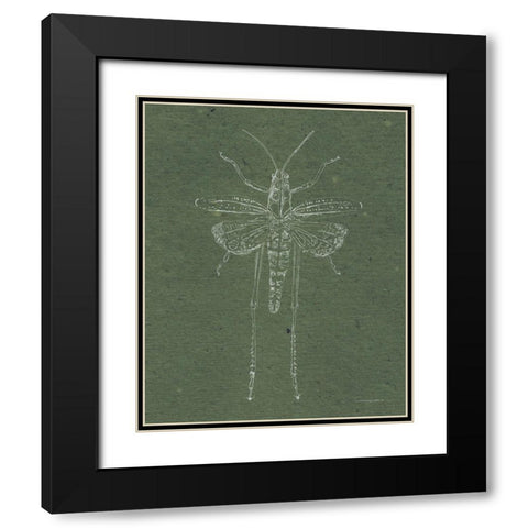 Now Climb Young Grasshopper Black Modern Wood Framed Art Print with Double Matting by Kamdon Kreations